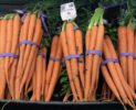 carrots