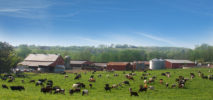 dairy farm image